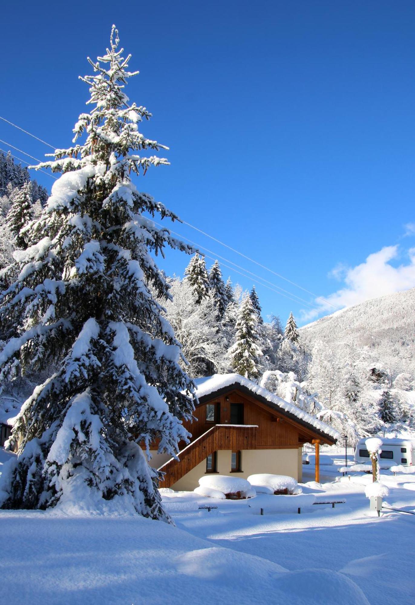 Chalet Presanella Temu Bagian luar foto