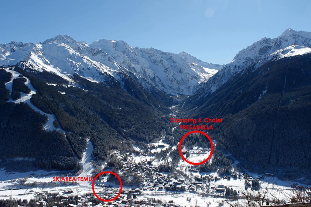 Chalet Presanella Temu Bagian luar foto